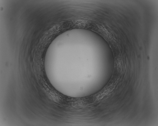 X0000087630769200705031444