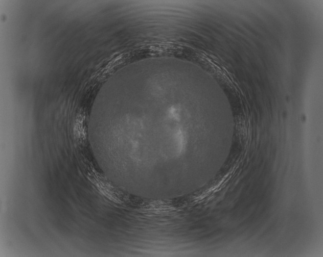 X0000087630770200705031444