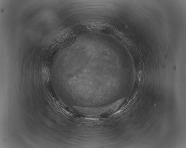 X0000087630772200705031444