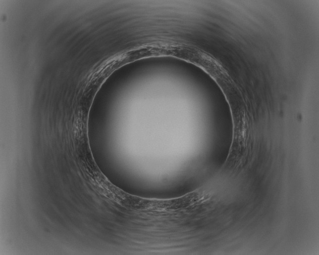 X0000087630773200705031444