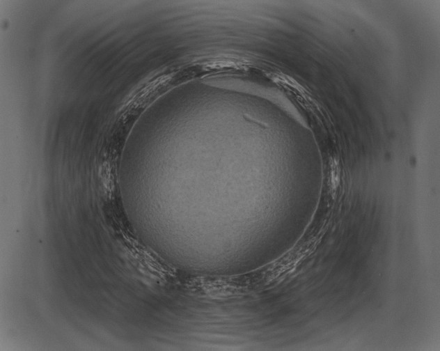X0000087630774200705031444