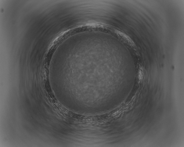 X0000087630776200705031444