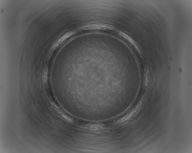 X0000087630778200705031444