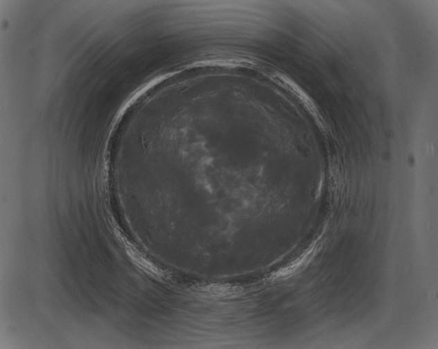 X0000087630779200705031444
