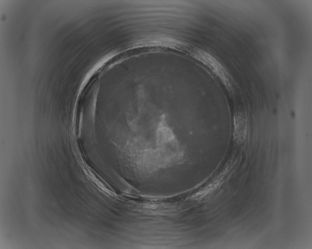X0000087630780200705031444