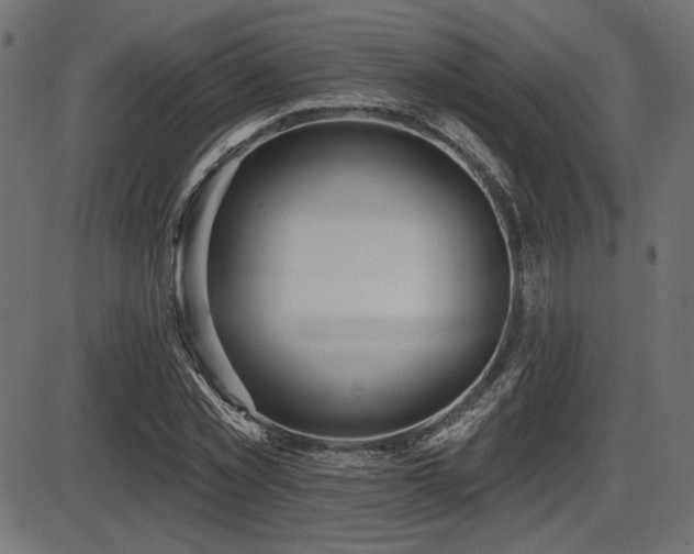 X0000087630781200705031444