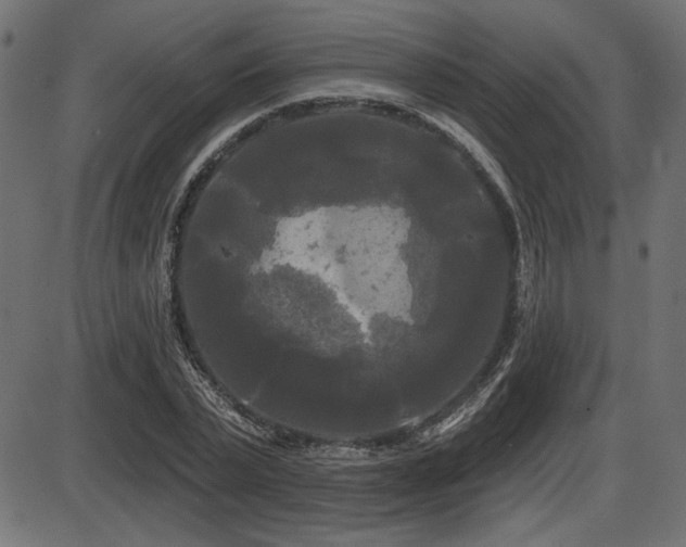 X0000087630783200705031444