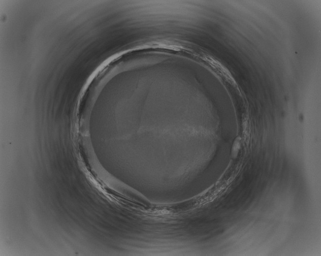 X0000087630784200705031444