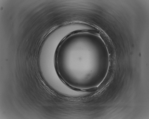 X0000087630785200705031444