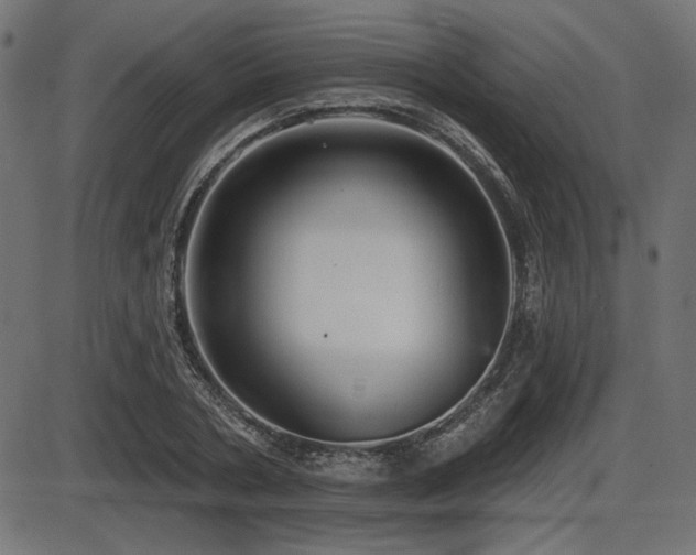 X0000087630786200705031444