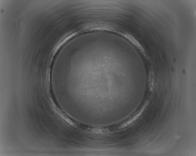 X0000087630790200705031444