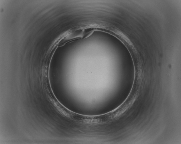 X0000087630793200705031444