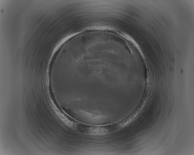 X0000087630795200705031444