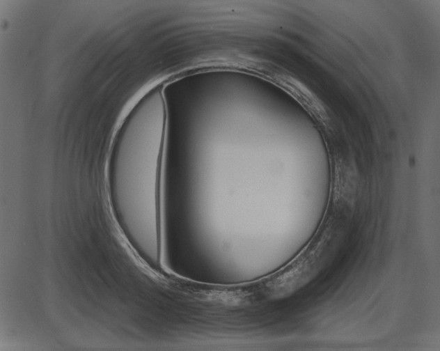 X0000087630796200705031444