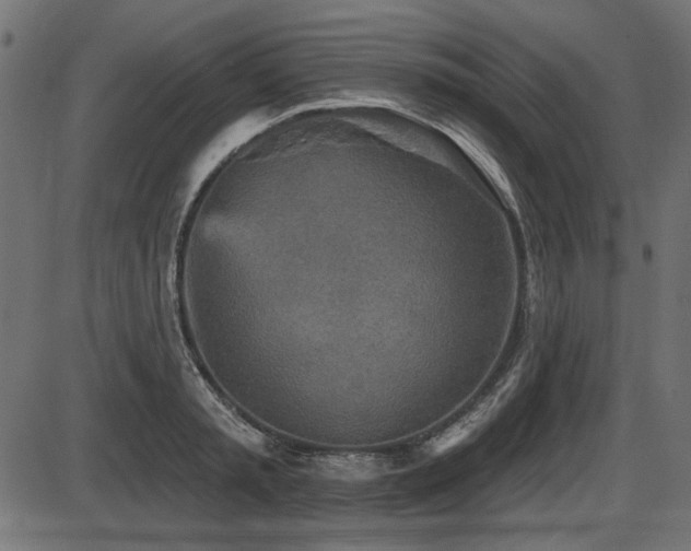X0000087630797200705031444