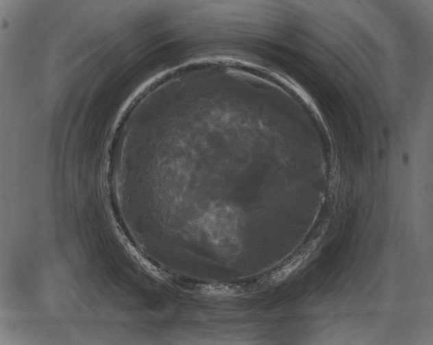 X0000087630799200705031444