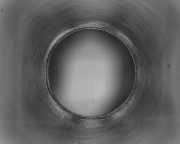 X0000087630800200705031444