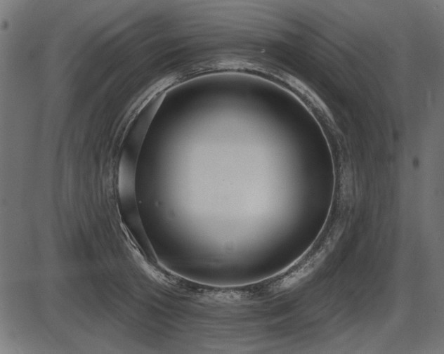 X0000087630801200705031444