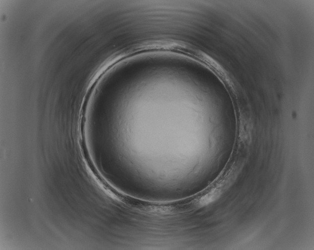 X0000087630802200705031444