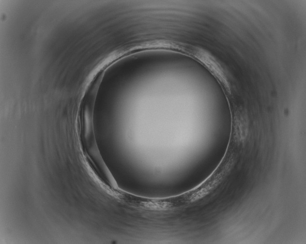 X0000087630805200705031444