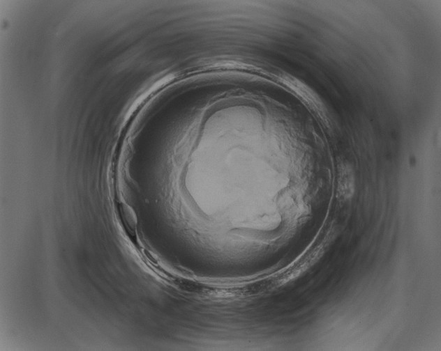 X0000087630806200705031444