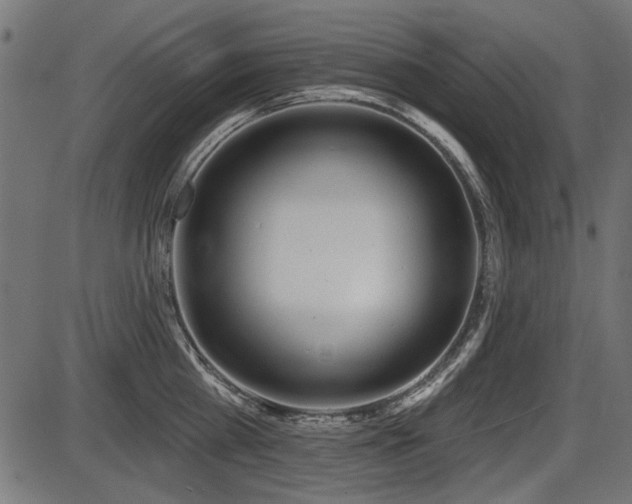 X0000087630809200705031444