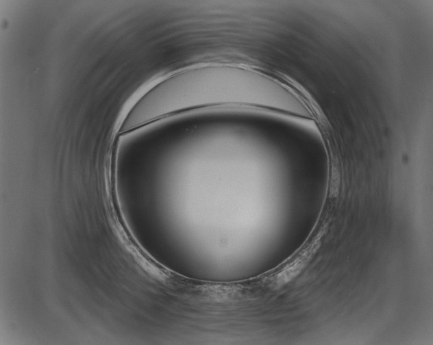 X0000087630812200705031444