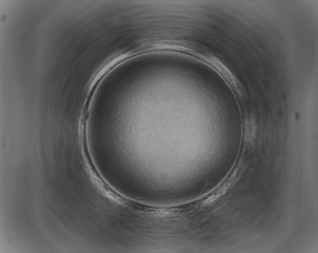 X0000087630814200705031444