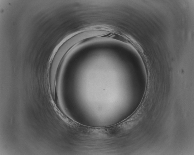 X0000087630816200705031444