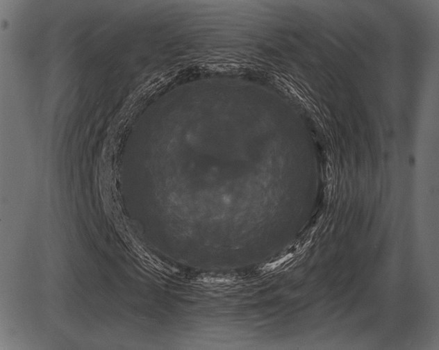 X0000087630817200705031443