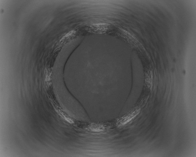 X0000087630818200705031443