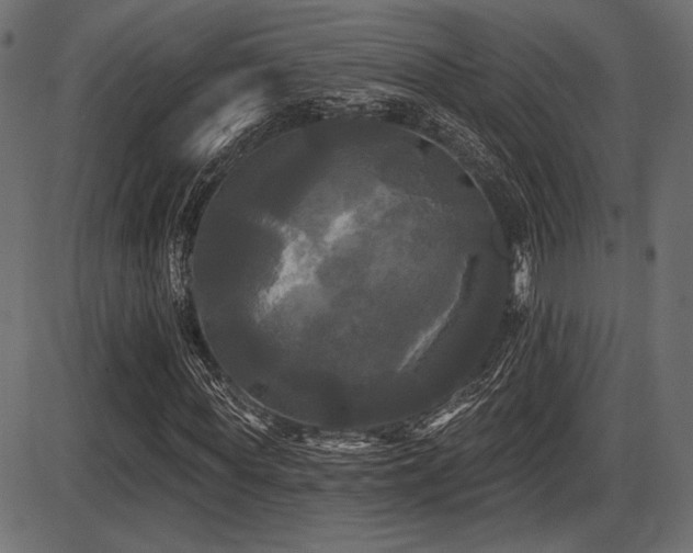 X0000087630819200705031443