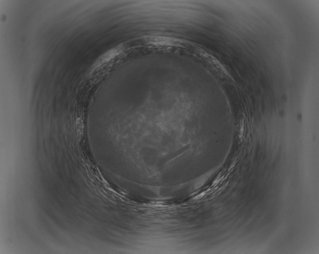 X0000087630821200705031443
