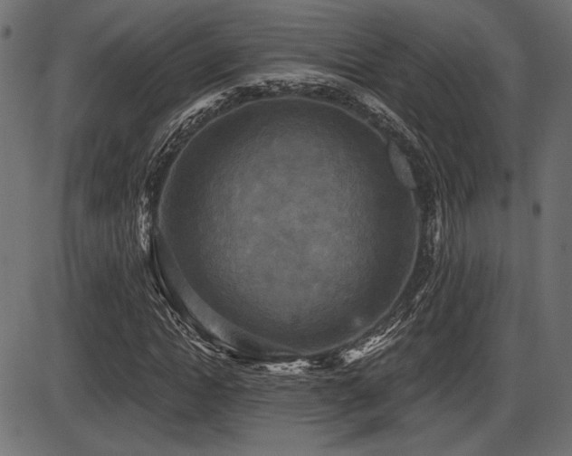 X0000087630822200705031443