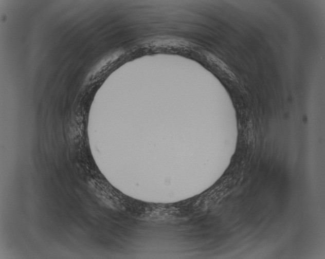 X0000087630824200705031443