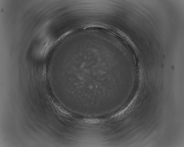 X0000087630825200705031443