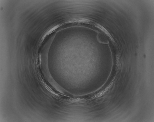 X0000087630826200705031443