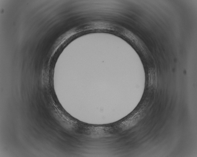 X0000087630828200705031443