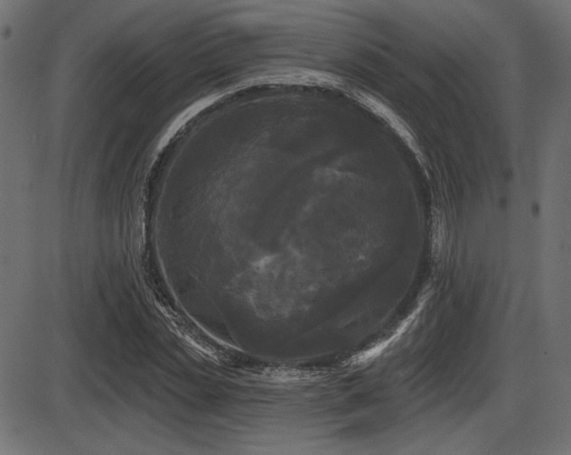 X0000087630829200705031443