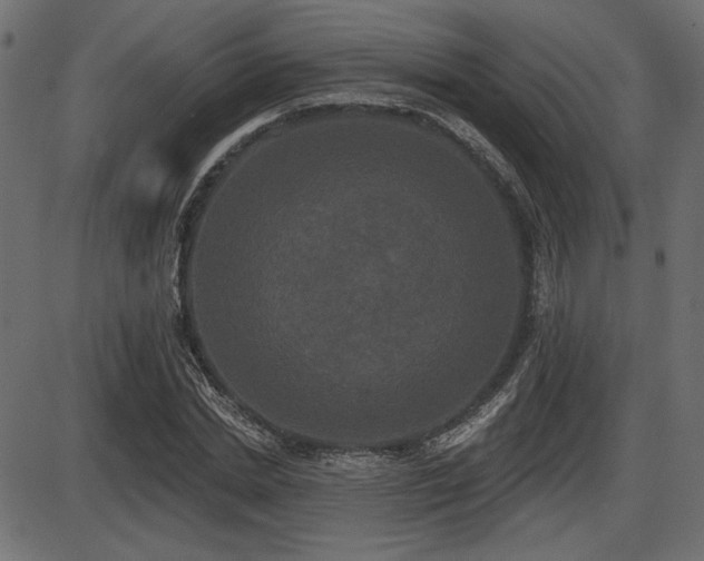 X0000087630830200705031443