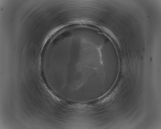 X0000087630831200705031443