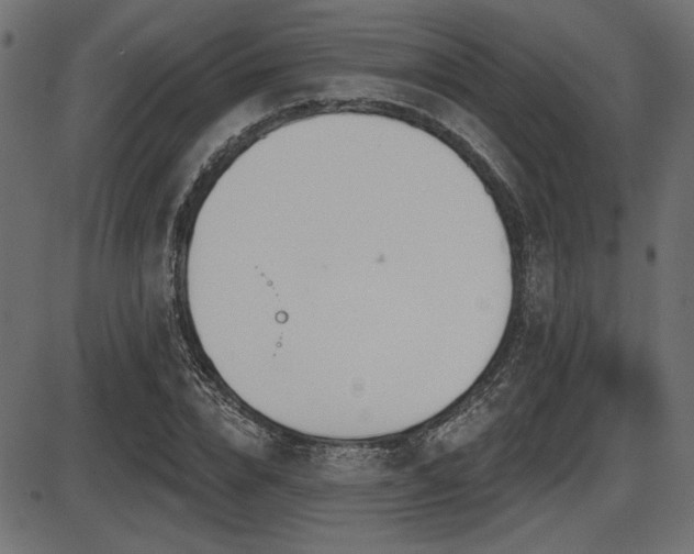 X0000087630832200705031443