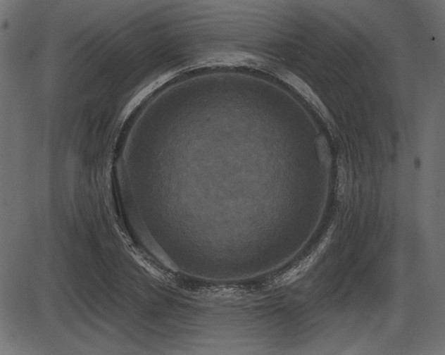 X0000087630834200705031443