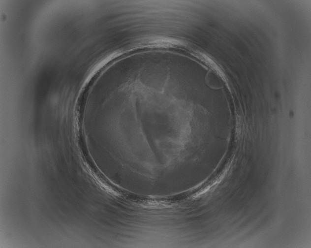 X0000087630835200705031443