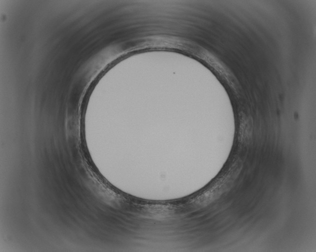 X0000087630836200705031443