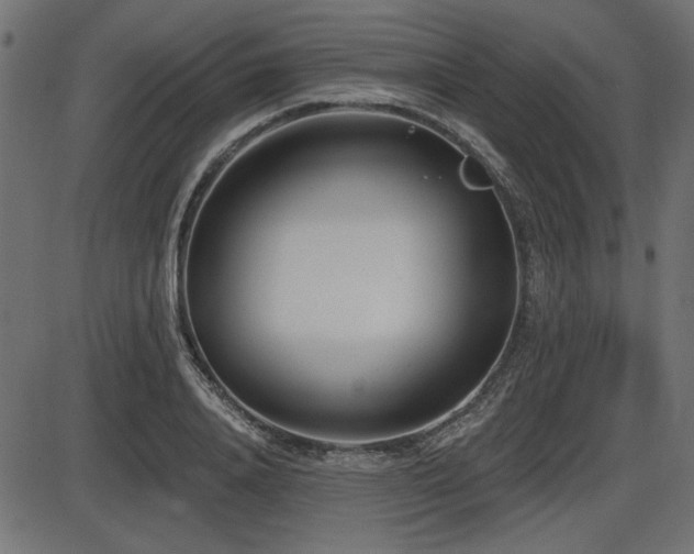 X0000087630840200705031443
