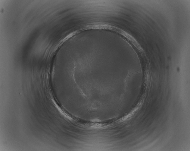 X0000087630841200705031443
