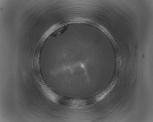 X0000087630842200705031443