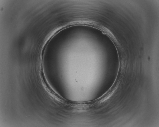 X0000087630844200705031443