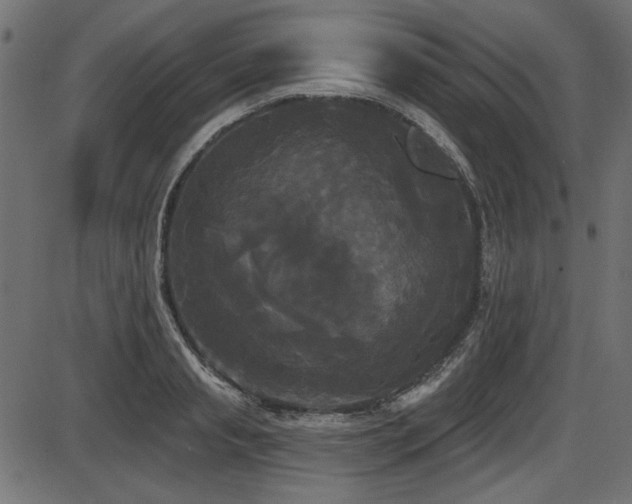 X0000087630845200705031443